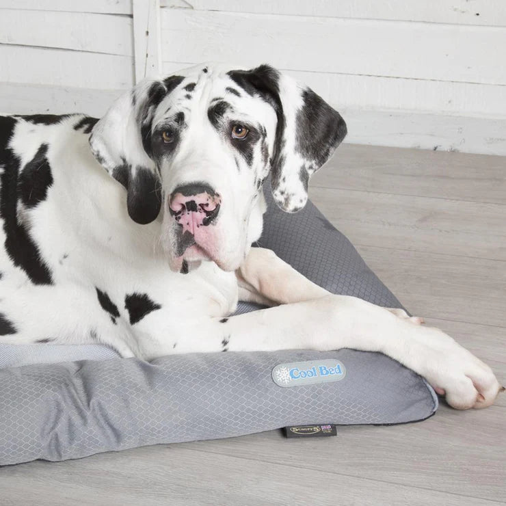 Cool Dog Bed - Grey