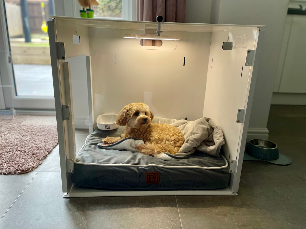 PetPen Transparent Crate | Stylish, Secure &amp; Pet-Friendly Crate Training Solution