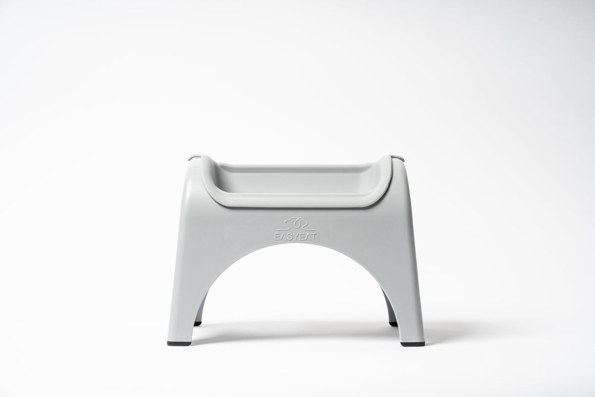 EasyEat Raised Feeder