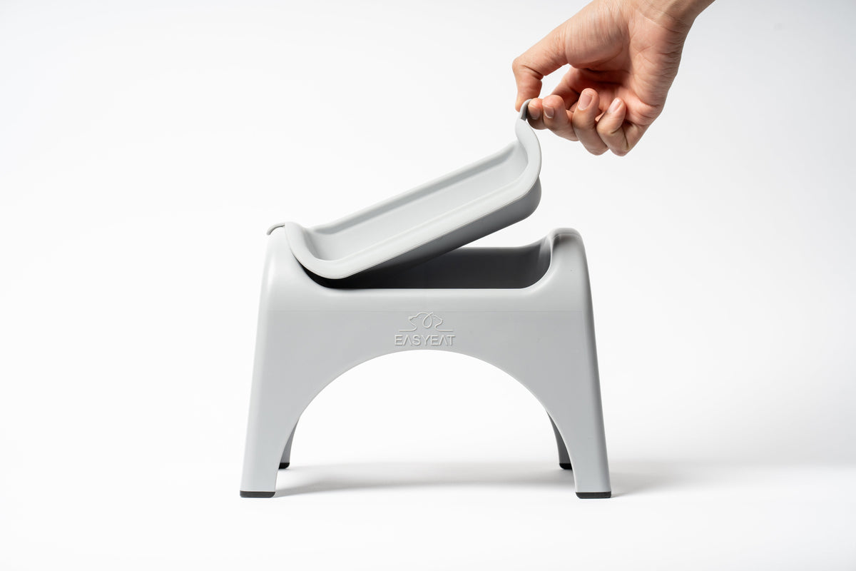 EasyEat Raised Feeder