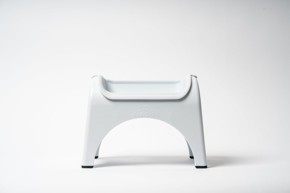 EasyEat Raised Feeder