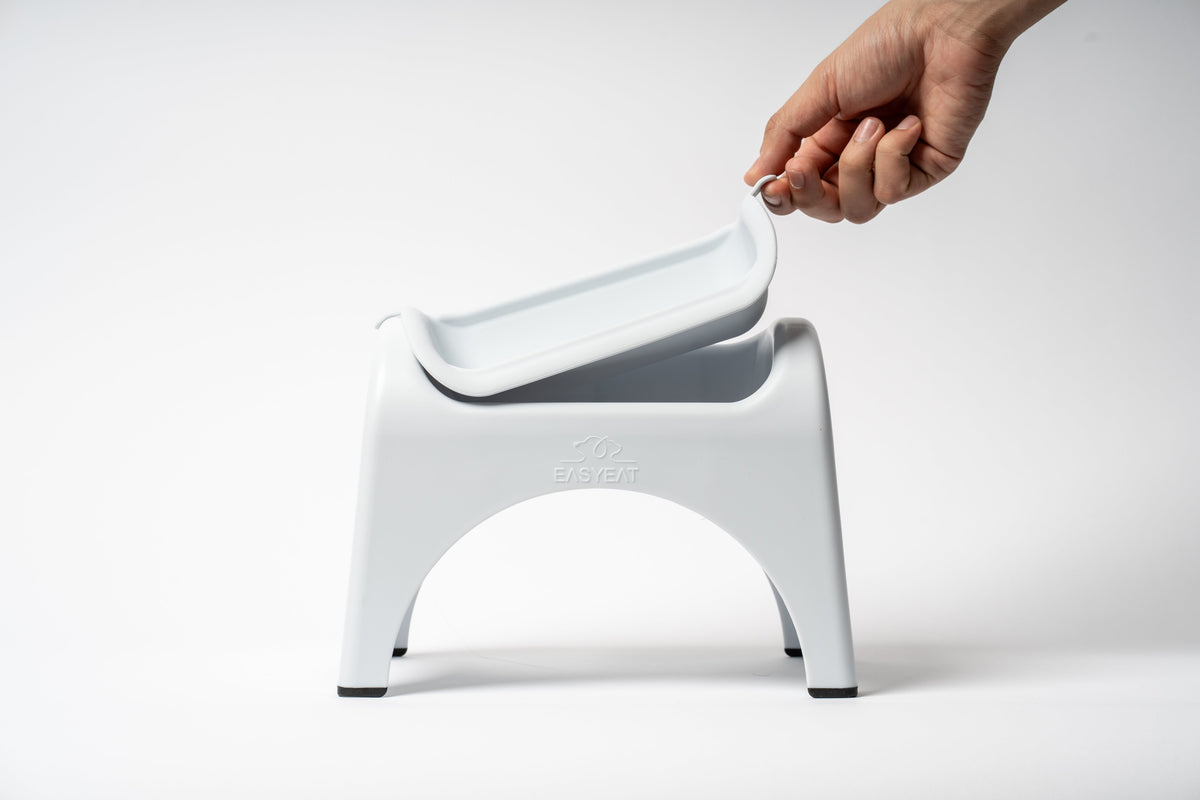 EasyEat Raised Feeder