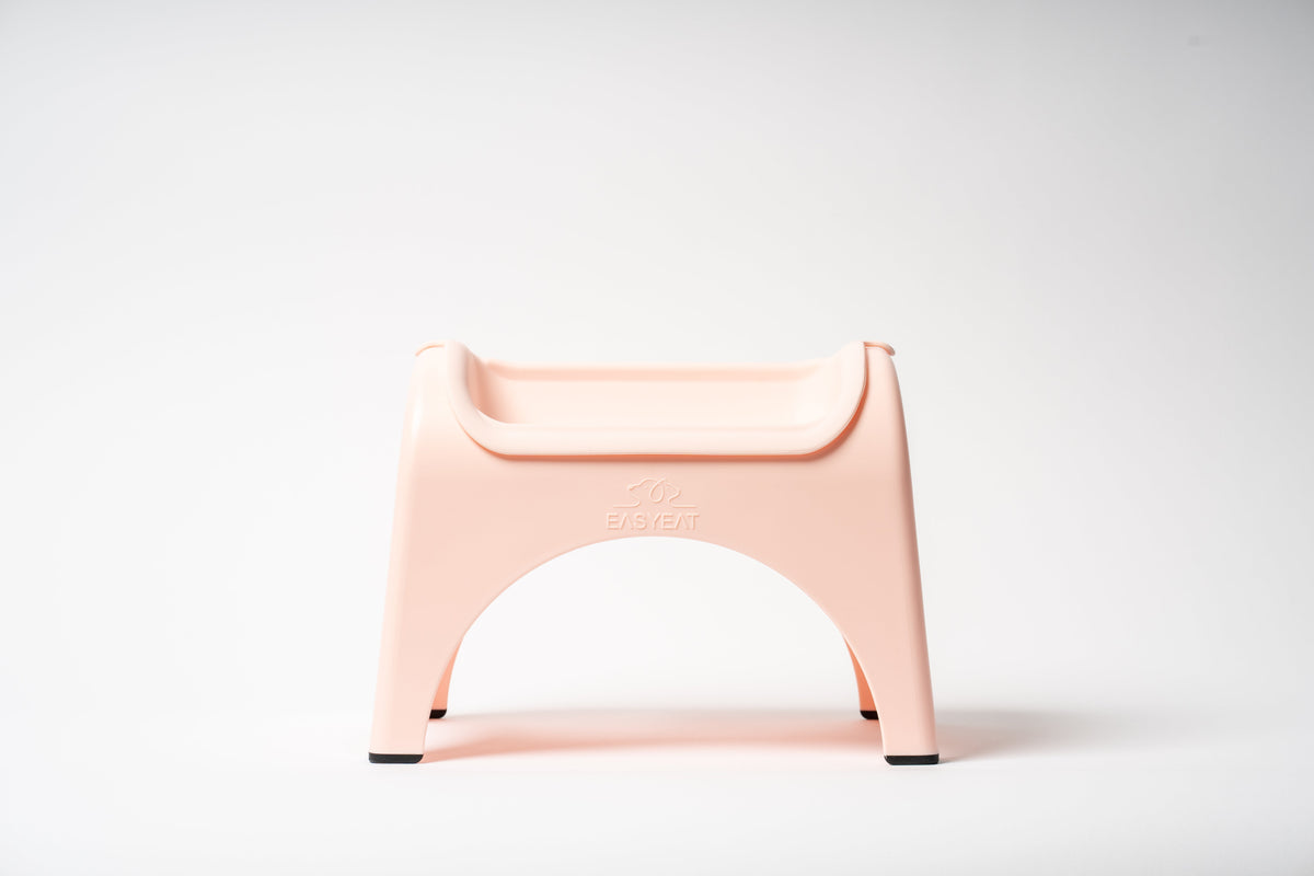 EasyEat Raised Feeder