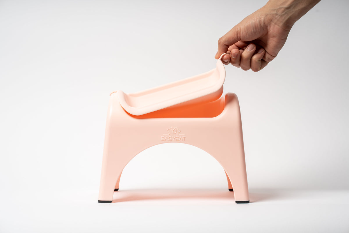 EasyEat Raised Feeder