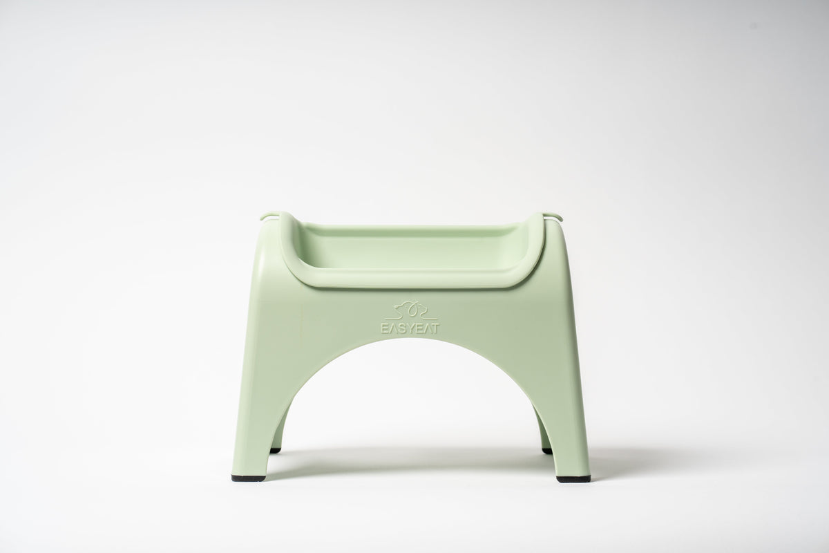 EasyEat Raised Feeder