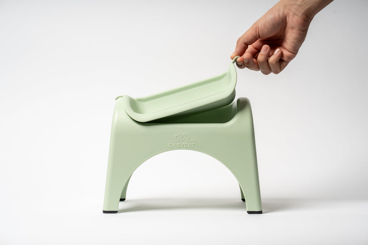 EasyEat Raised Feeder