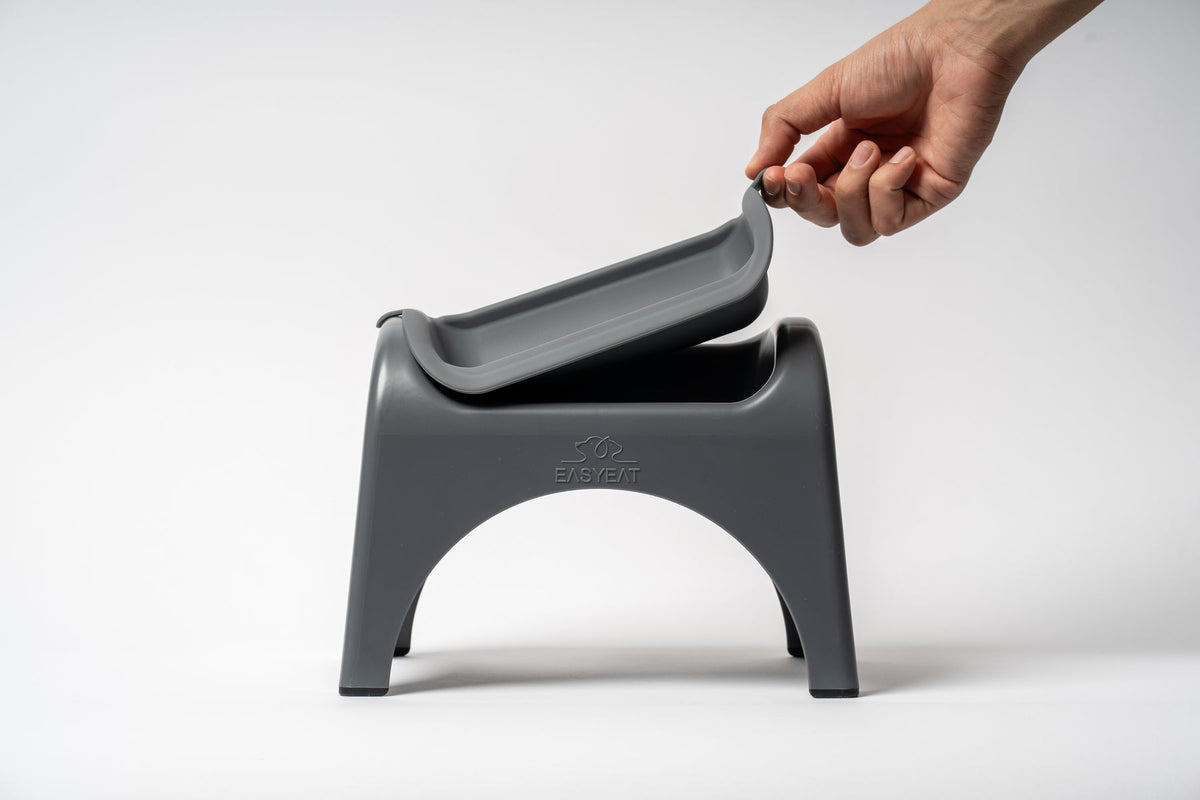 EasyEat Raised Feeder