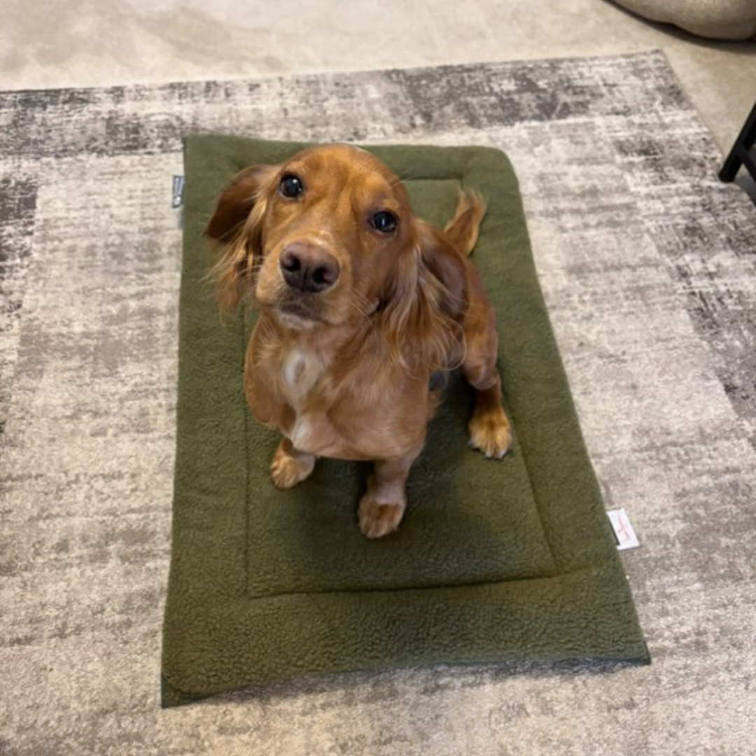 Danish Design Crate Bedding Set