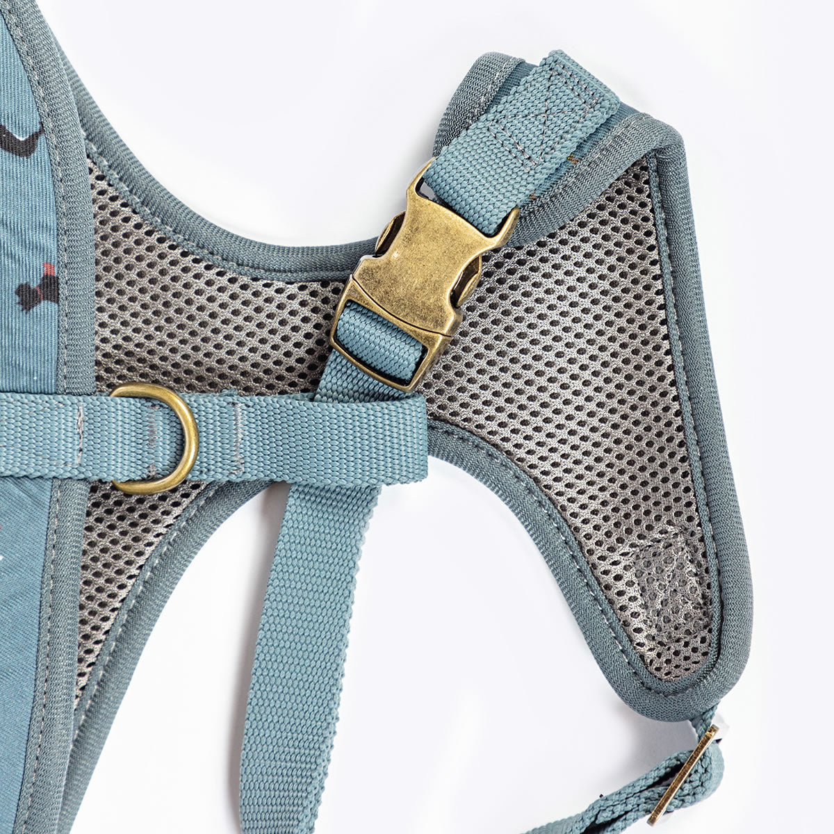 FatFace Marching Dogs Harness