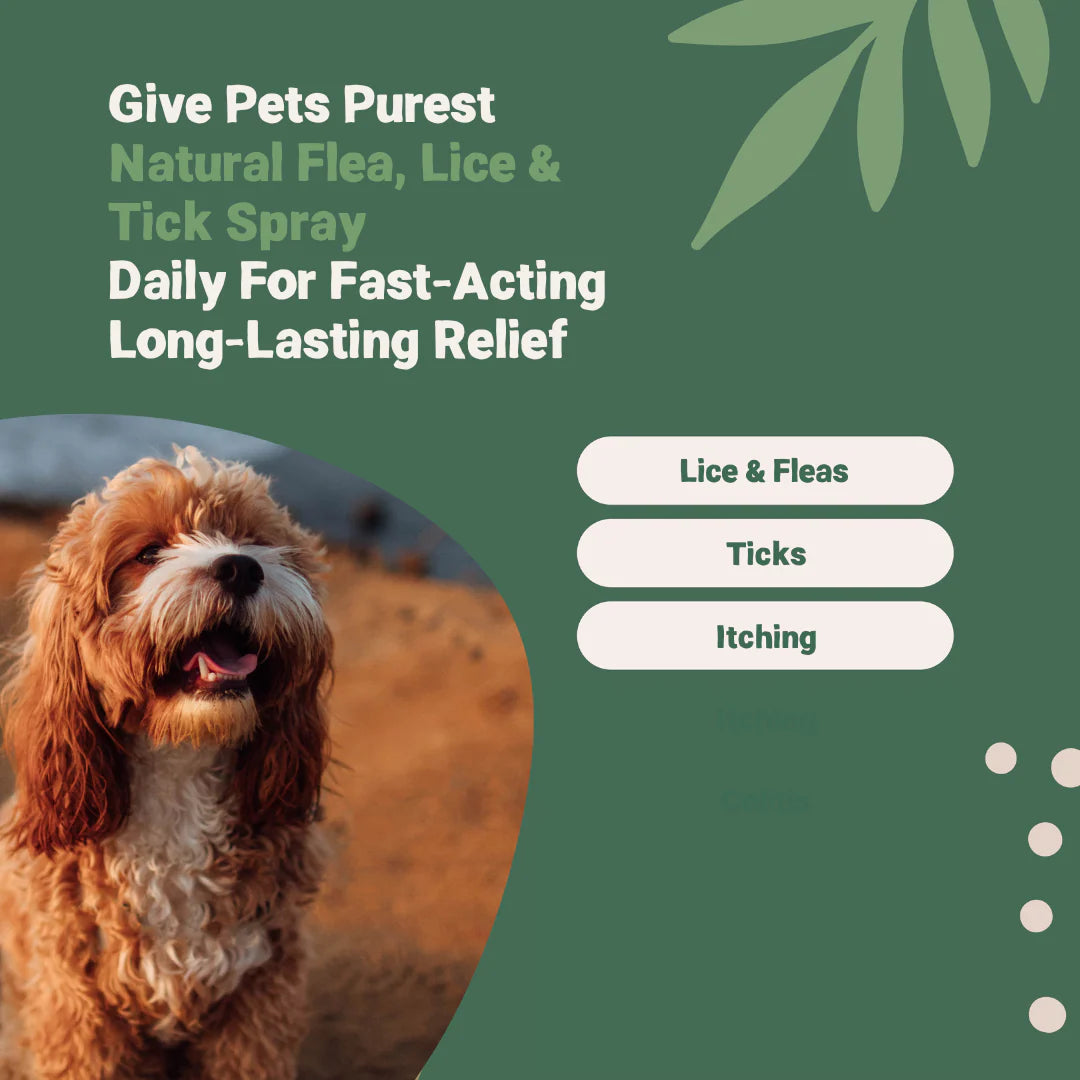 Natural Flea, Lice &amp; Tick Spray for Dogs &amp; Cats | 500ml Fast-Acting Repellent