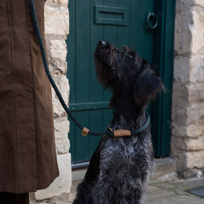 Ruff and Tumble slip lead