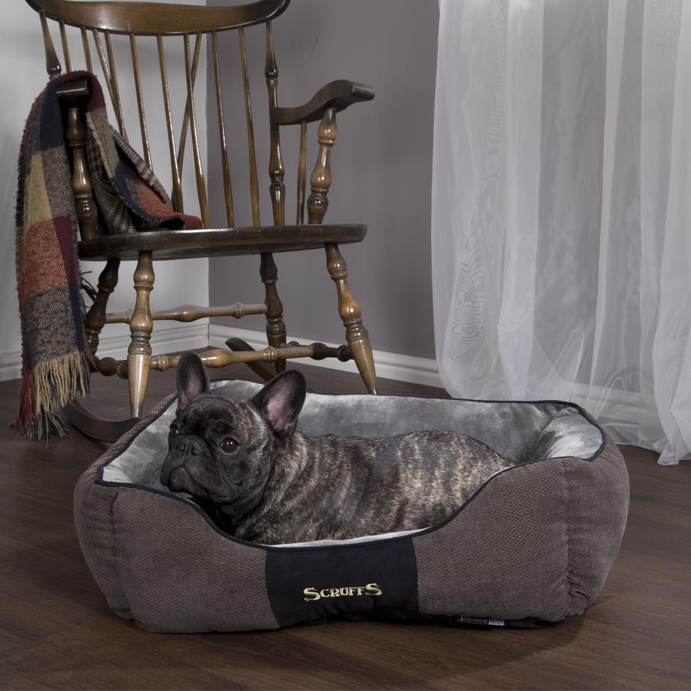 Chester Box Dog Bed - Graphite Grey Dog Bed Scruffs® 