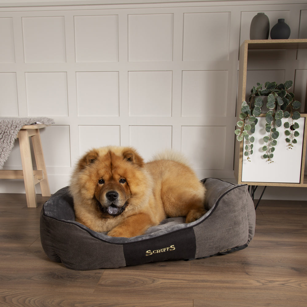 Chester Box Dog Bed - Graphite Grey Dog Bed Scruffs® 