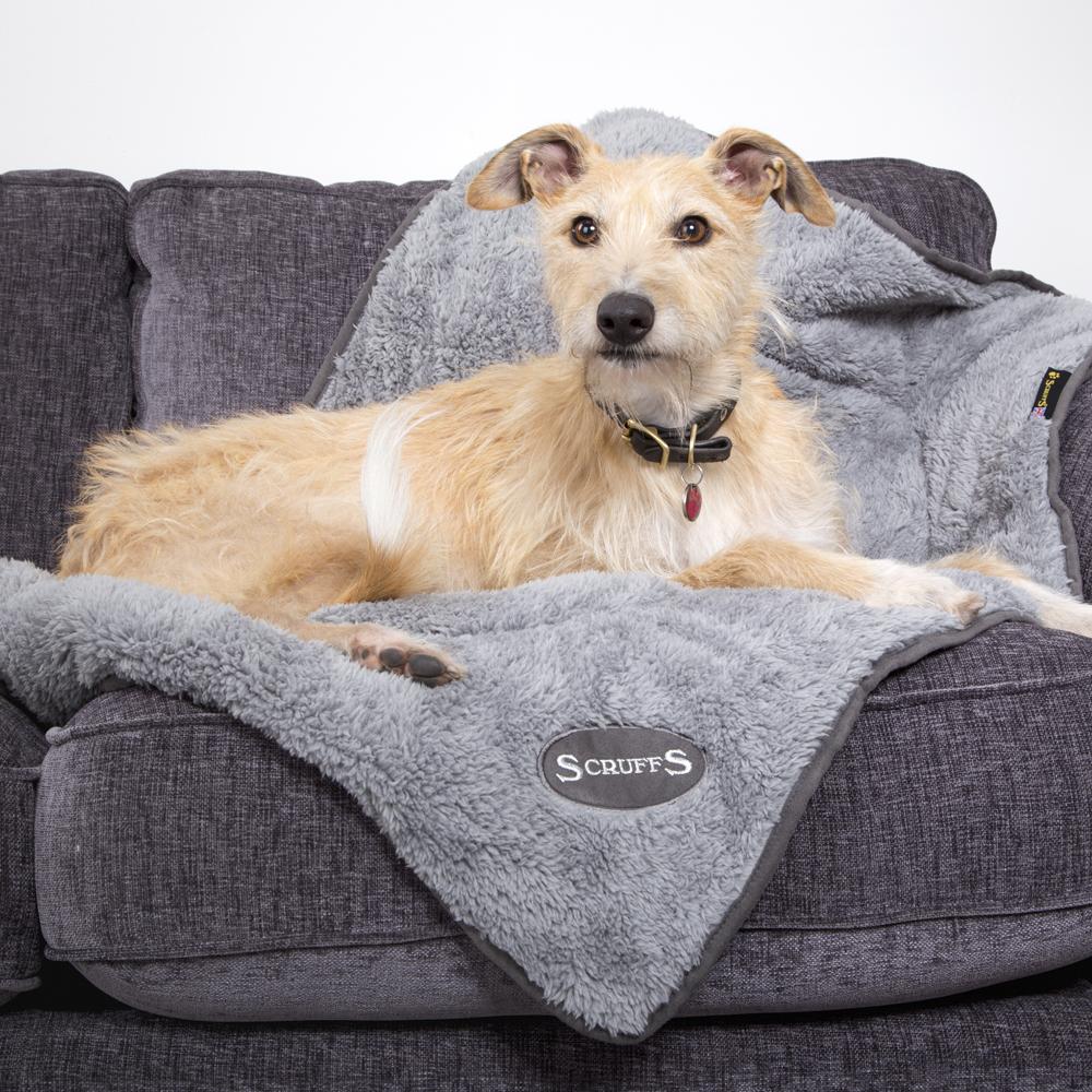 Cosy Dog Blanket - Grey Dog Blanket Scruffs® 