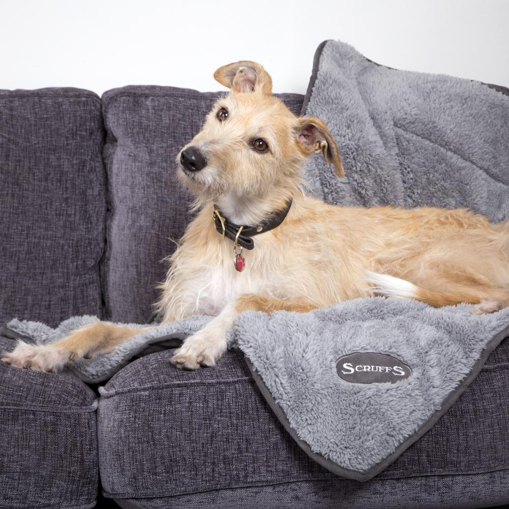 Cosy Dog Blanket - Grey Dog Blanket Scruffs® 