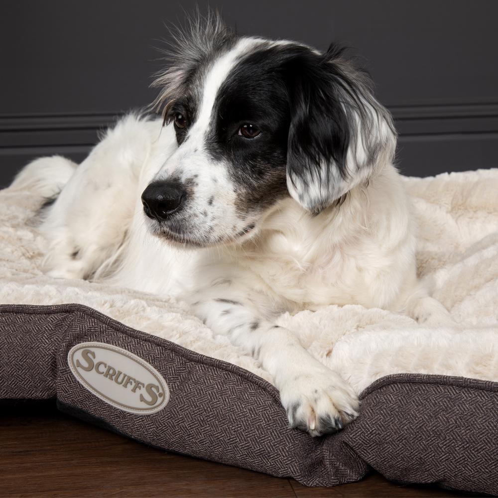 Ellen Dog Mattress - Grey Dog Bed Scruffs® 