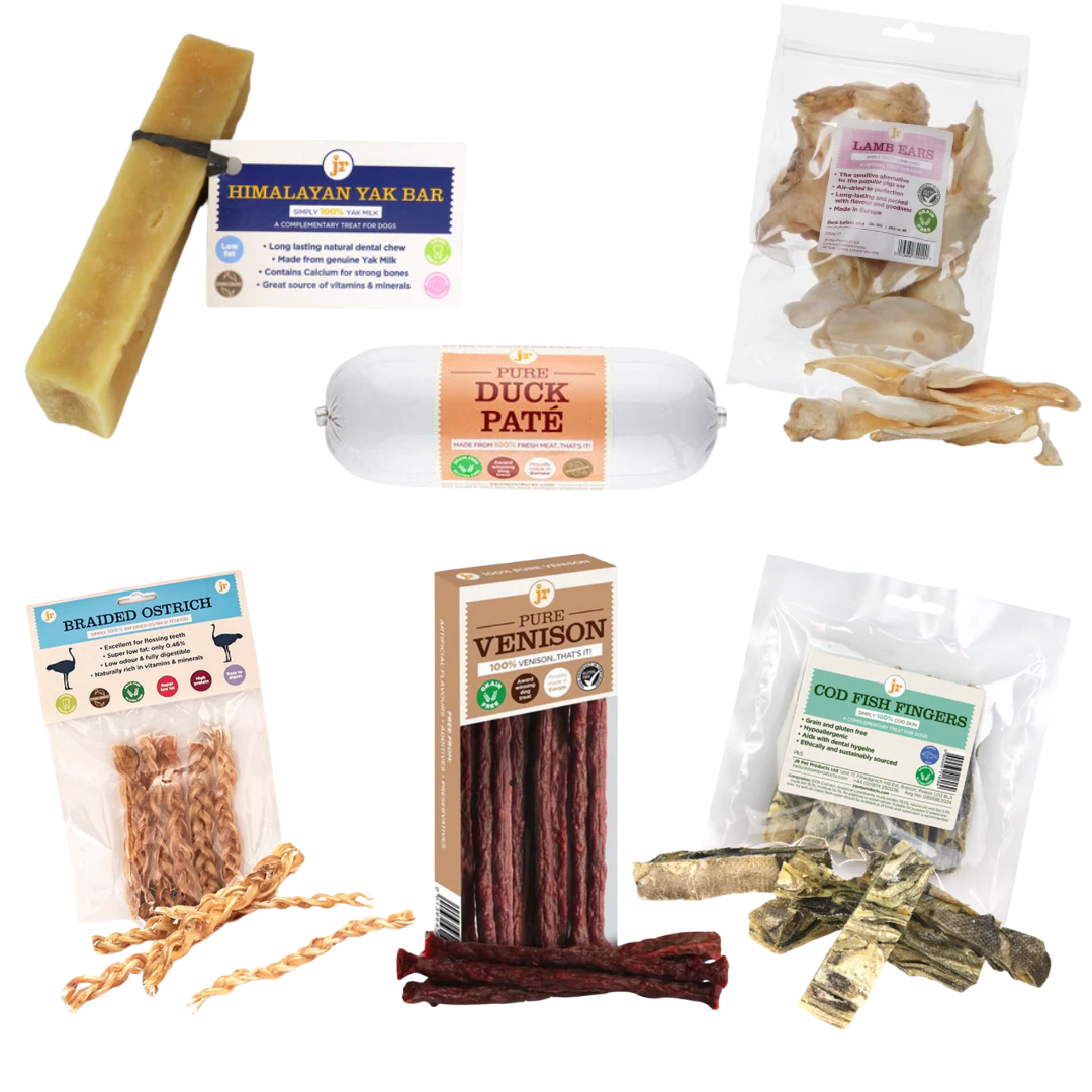 JR Pet Products Hypoallergenic Treat Bundle | 100% Natural, Monthly Variety for Sensitive Dogs