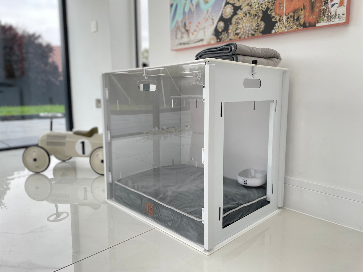 PetPen Transparent Crate | Stylish, Secure &amp; Pet-Friendly Crate Training Solution