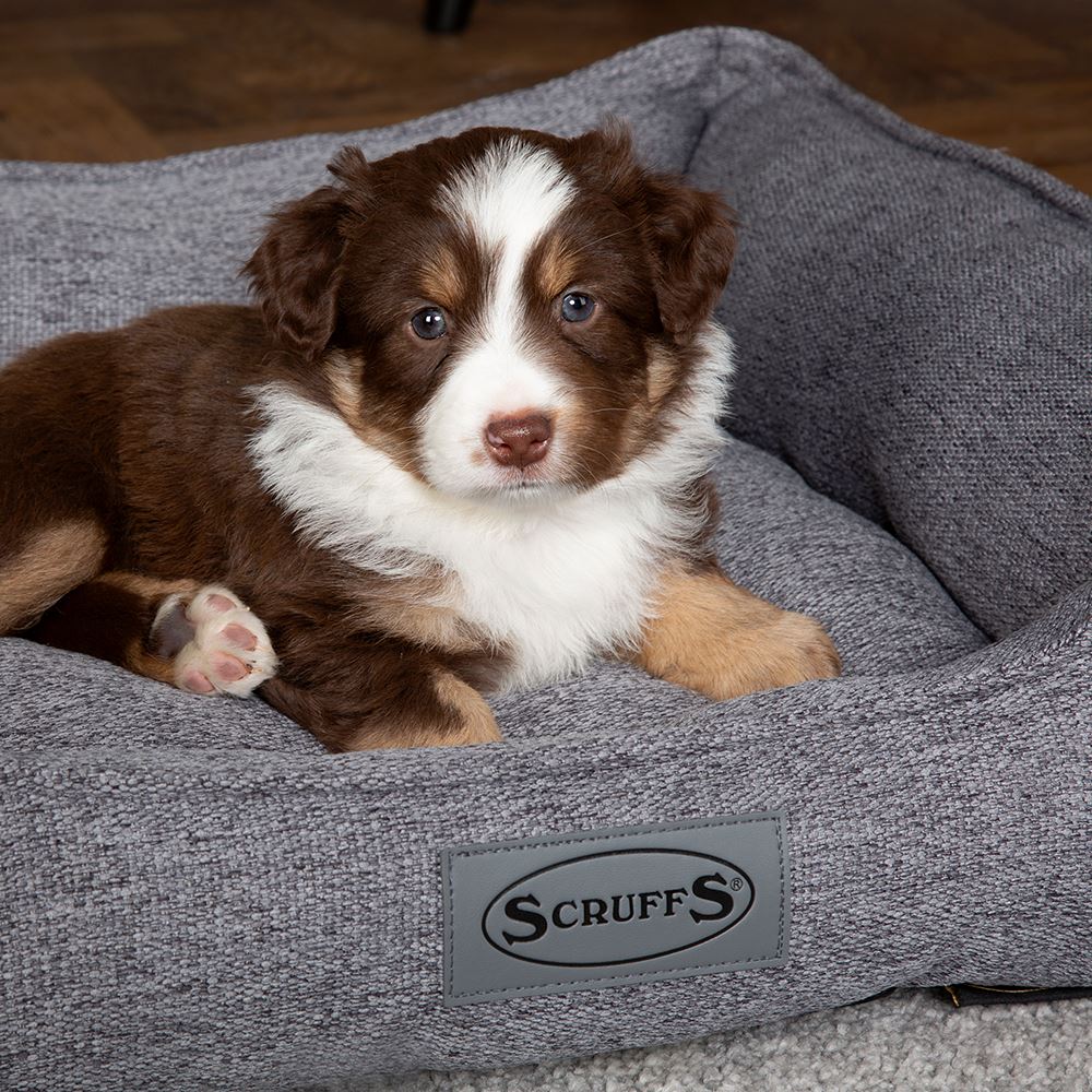 Manhattan Box Bed - Dark Grey Dog Bed Scruffs® Small (50 x 40cm / 19.5" x 16") 