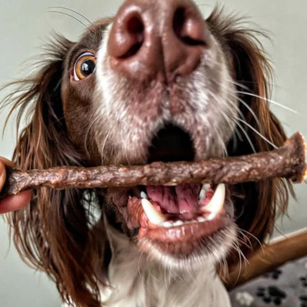 JR Pet Products Pure Meat Sticks Variety Pack | 100% Natural, Single Protein Dog Treats