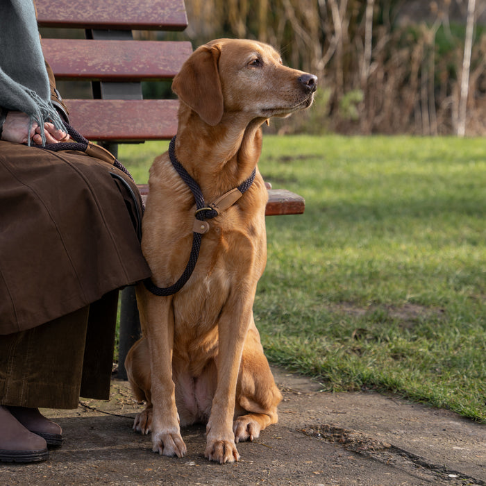 Ruff and Tumble slip lead