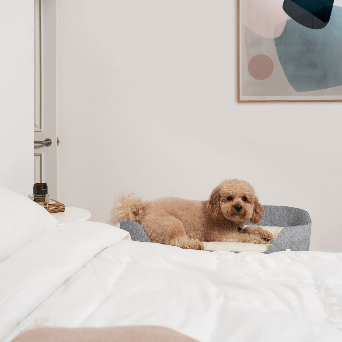 PetNest &amp; Bedside Stand Natural Dog#mattress-colour_natural