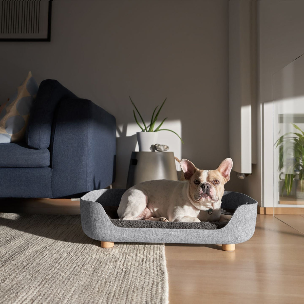 PetNest felt bed with dog#mattress-colour_slate-grey