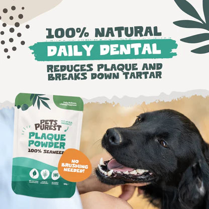 Natural Plaque Removal Powder for Dogs &amp; Cats | 100g Seaweed Dental Care Supplement