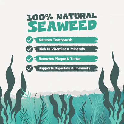 Natural Plaque Removal Powder for Dogs &amp; Cats | 100g Seaweed Dental Care Supplement