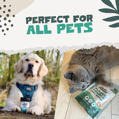 Natural Plaque Removal Powder for Dogs &amp; Cats | 100g Seaweed Dental Care Supplement