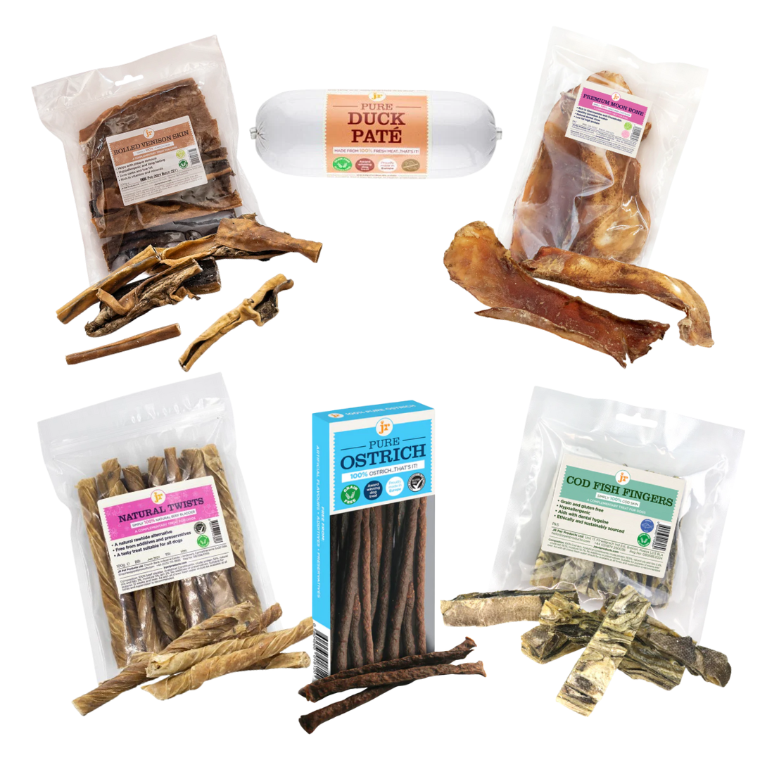 JR Pet Products Premium Treat & Chew Bundle | Deluxe Monthly Variety Box for Dogs Who Deserve the Best