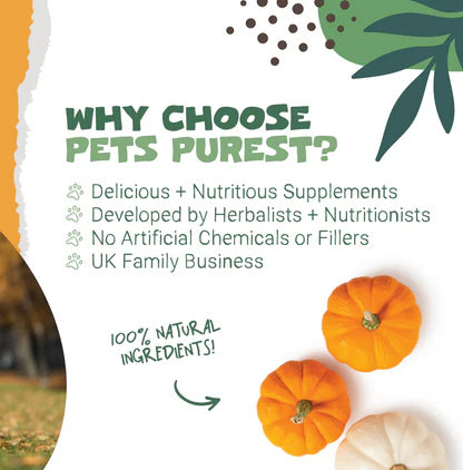 Pumpkin Powder for Dogs &amp; Cats | 250g Natural Digestive Support