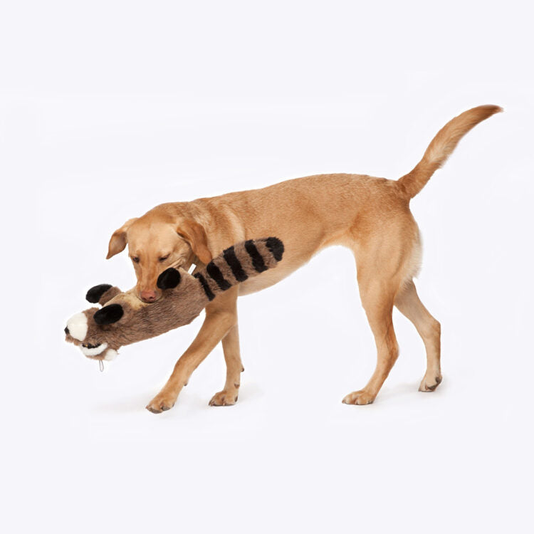 Ricky the Raccoon Toy