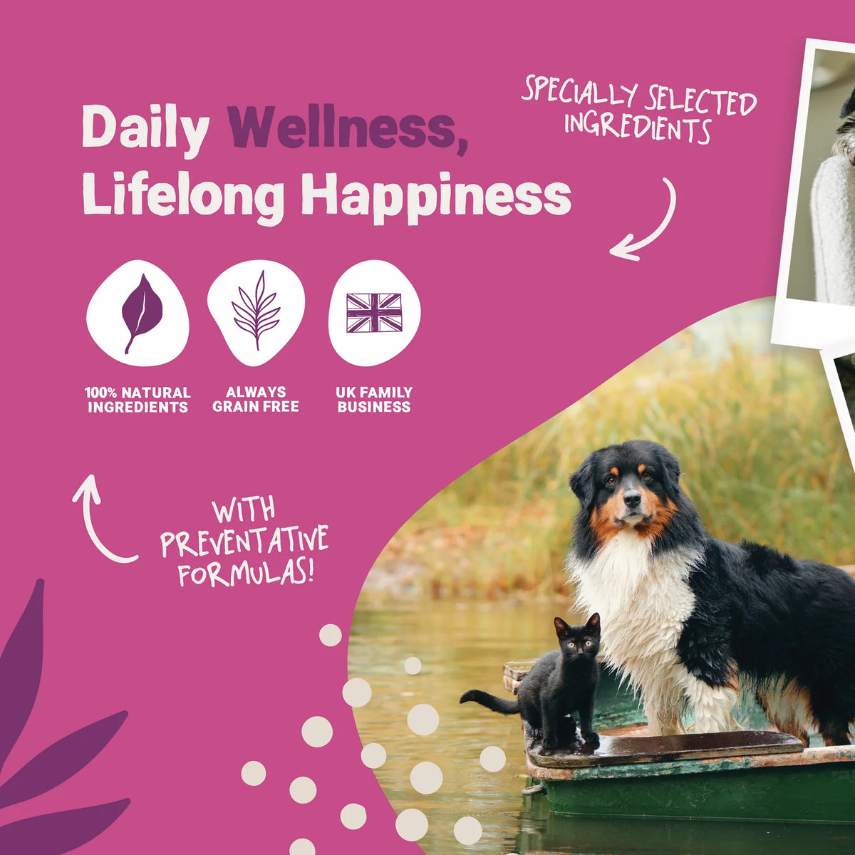 Senior Salmon Oil for Dogs &amp; Cats (300ml) | Natural Joint &amp; Brain Care