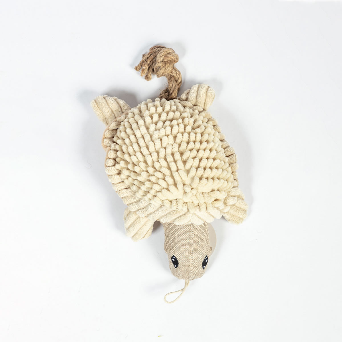 Timothy the Natural Turtle