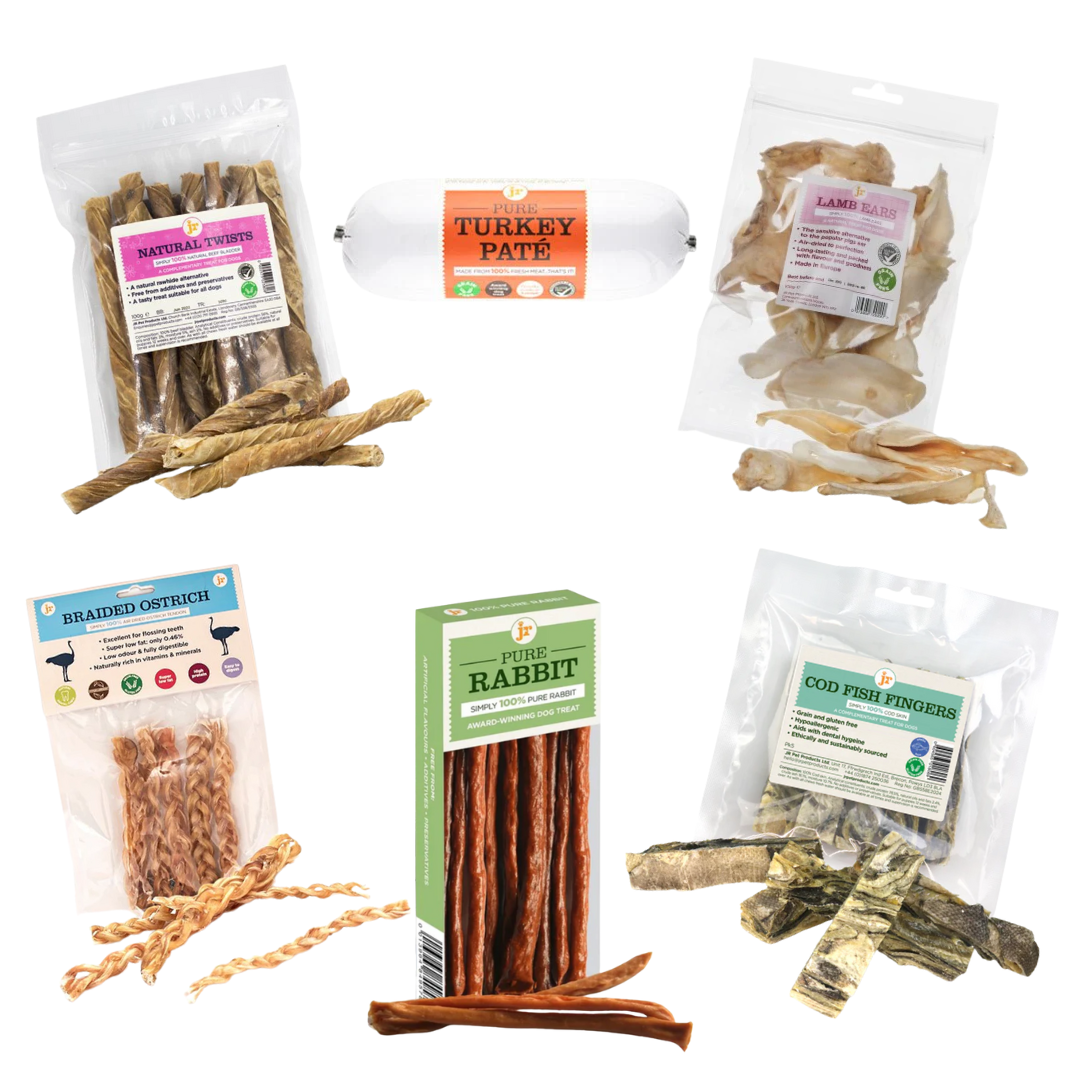 JR Pet Products Treat & Chew Bundle | Natural, Monthly Variety Box for Happy Dogs