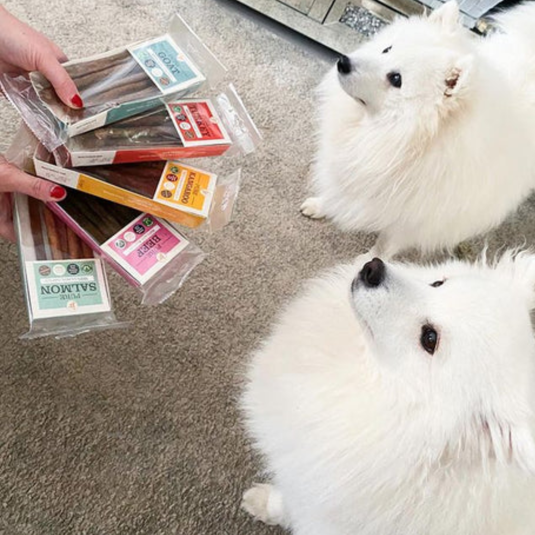 JR Pet Products Pure Meat Sticks – Single Flavour | 100% Natural, Grain-Free Dog Treats