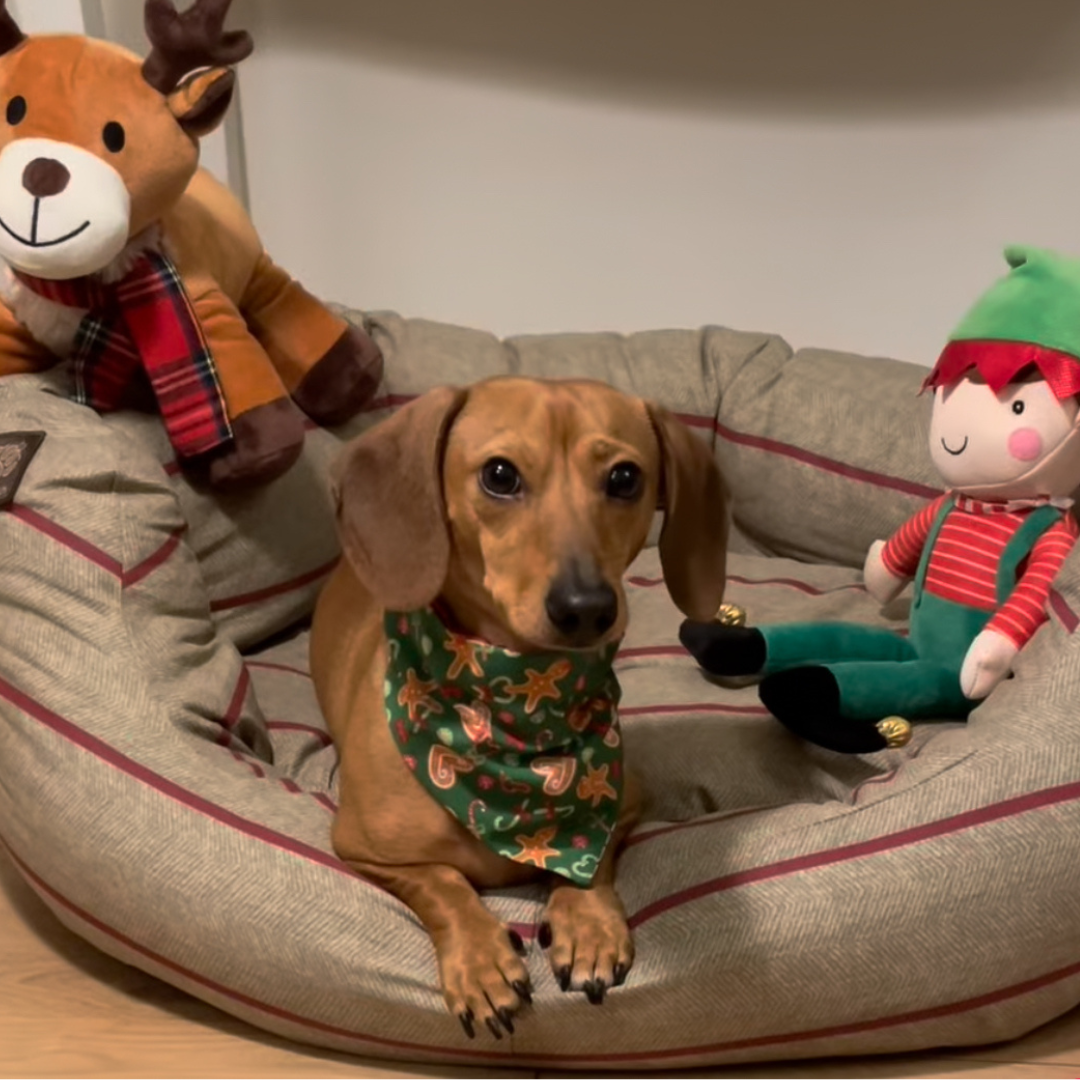 Danish Design Heritage Herringbone Deluxe Slumber Bed