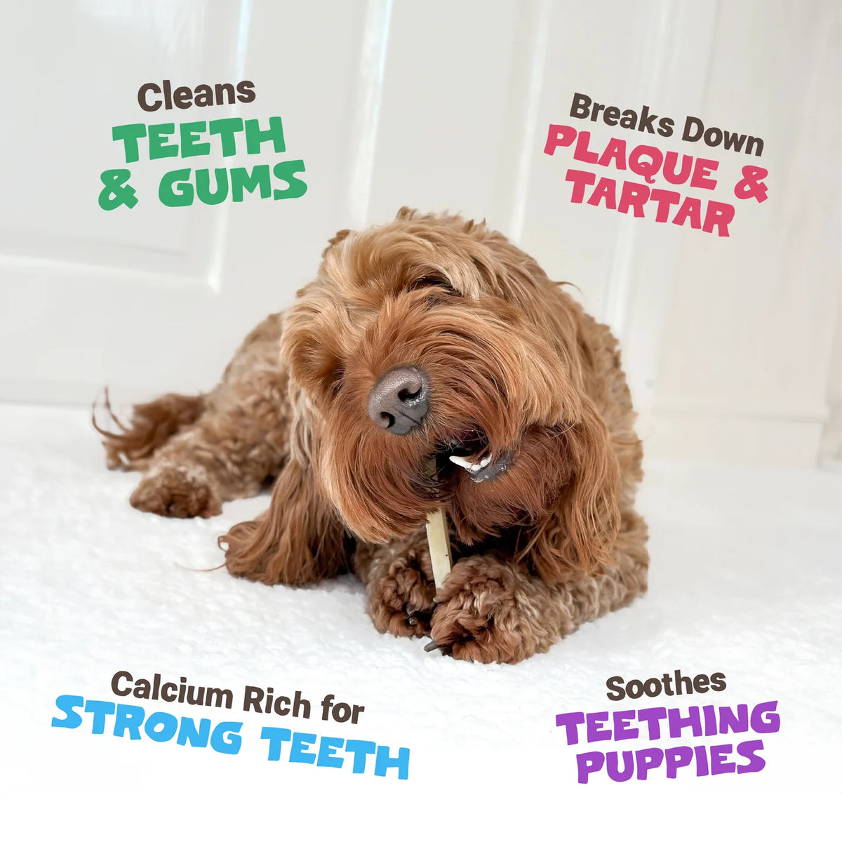 Medium Himalayan Yak Cheese Bones | 3 Pack Long-Lasting Natural Dog Chews