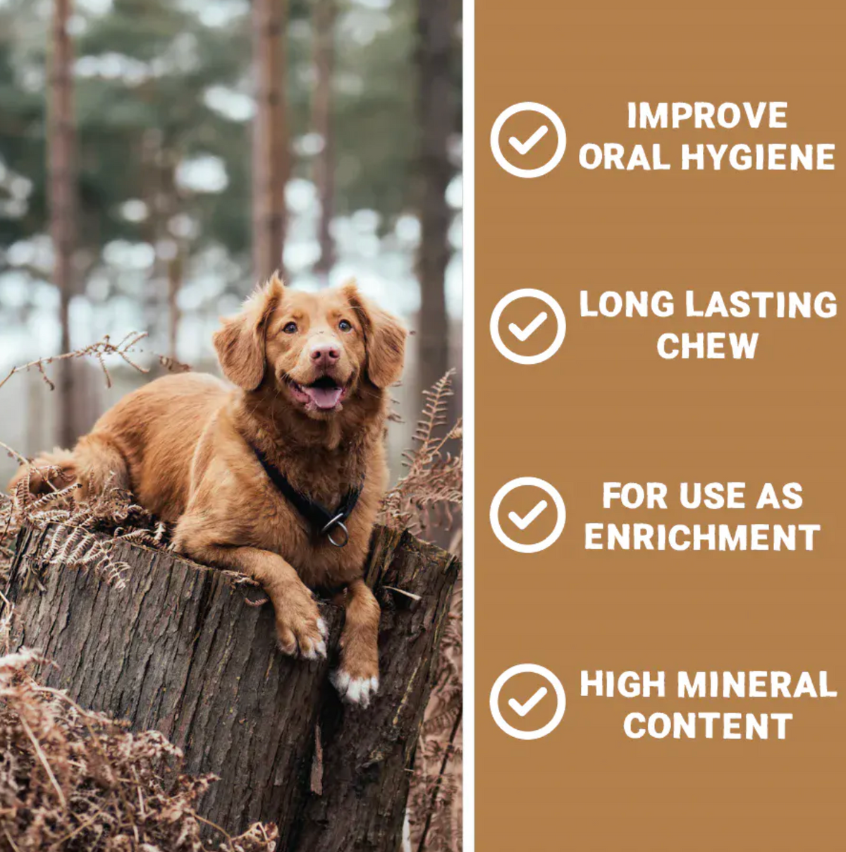Large Deer Antler Chew for Dogs | 90g–130g Long-Lasting Natural Horn Treat