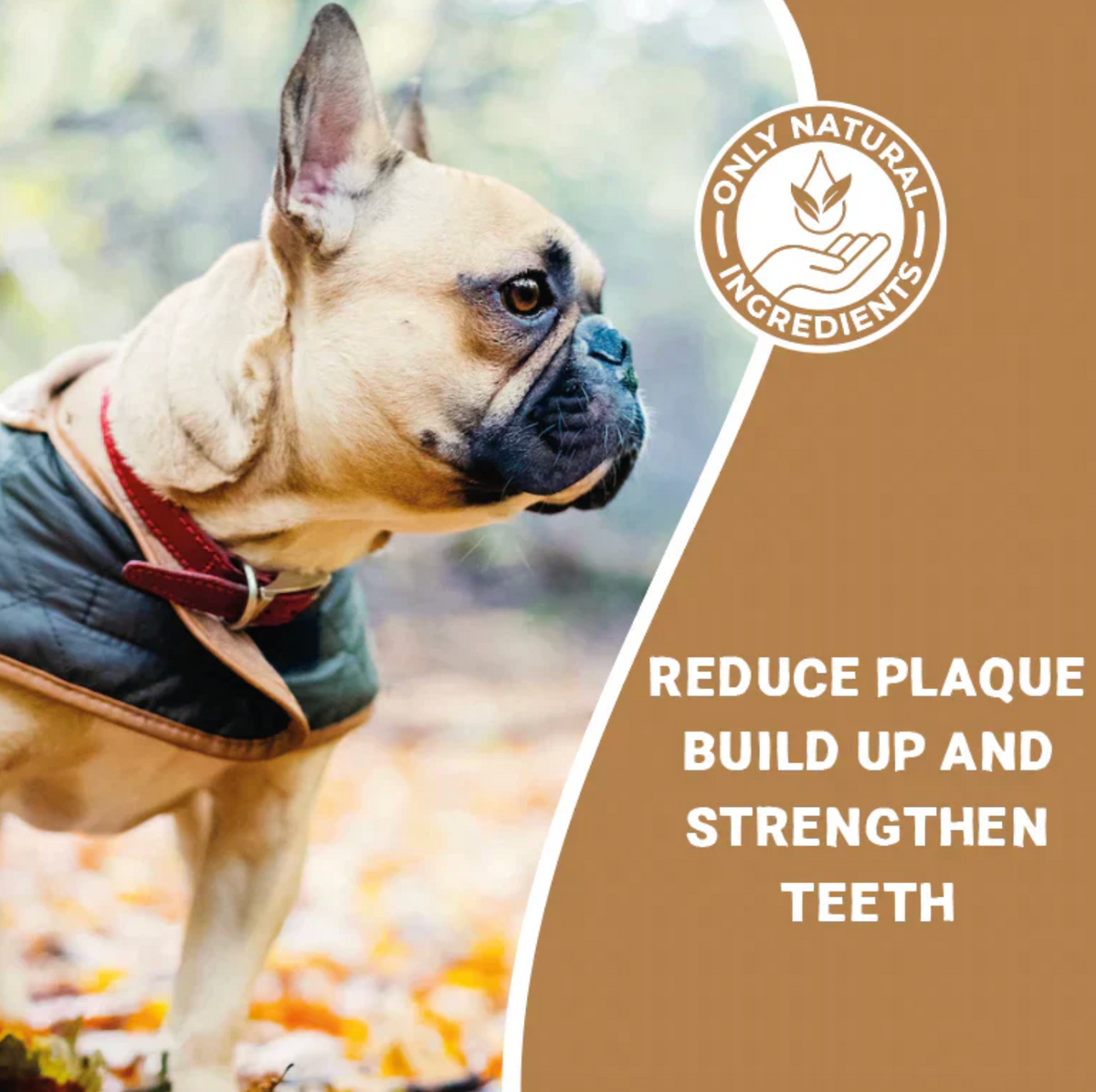 Large Deer Antler Chew for Dogs | 90g–130g Long-Lasting Natural Horn Treat
