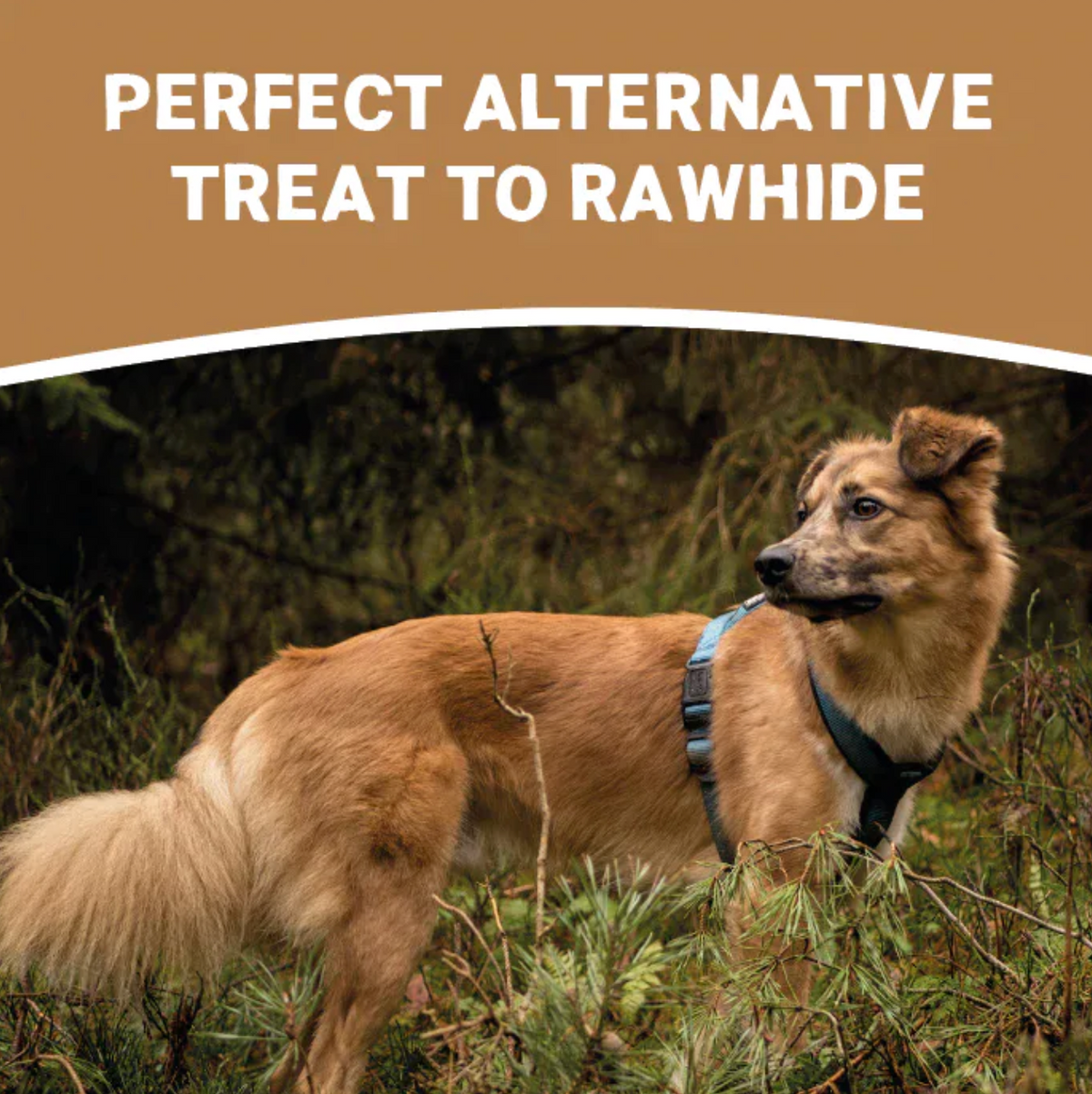 Large Deer Antler Chew for Dogs | 90g–130g Long-Lasting Natural Horn Treat