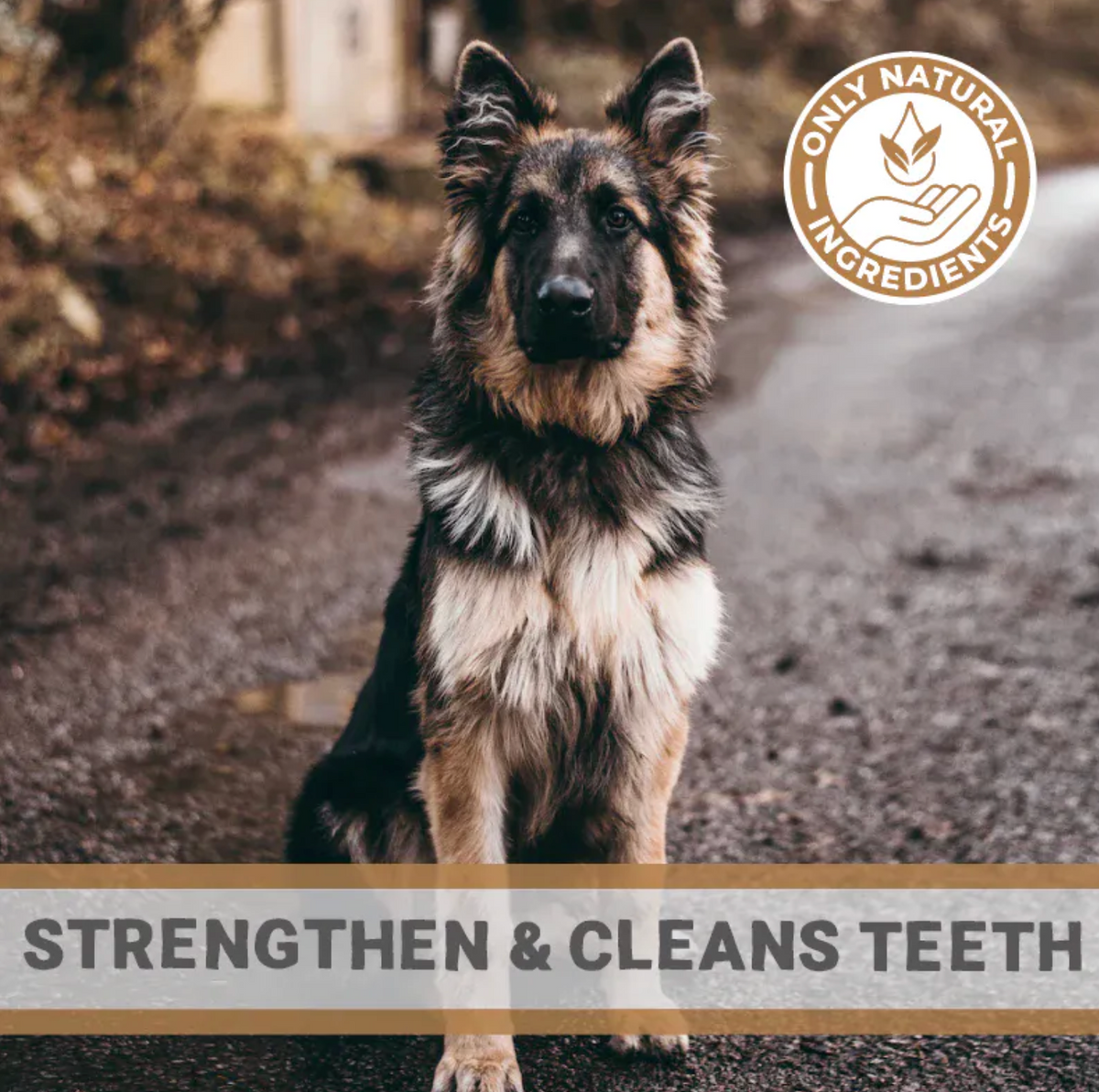 Large Deer Antler Chew for Dogs | 90g–130g Long-Lasting Natural Horn Treat