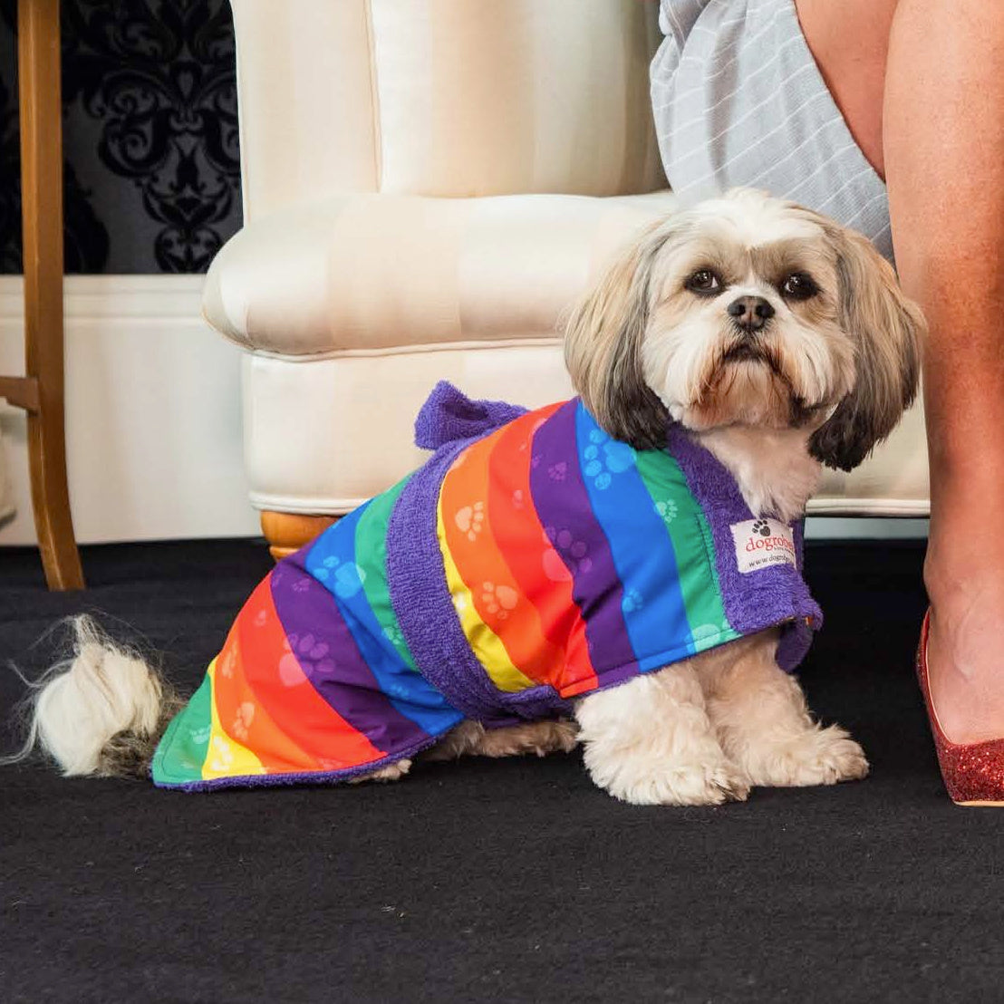 Dogrobe Exclusive - Rainbow