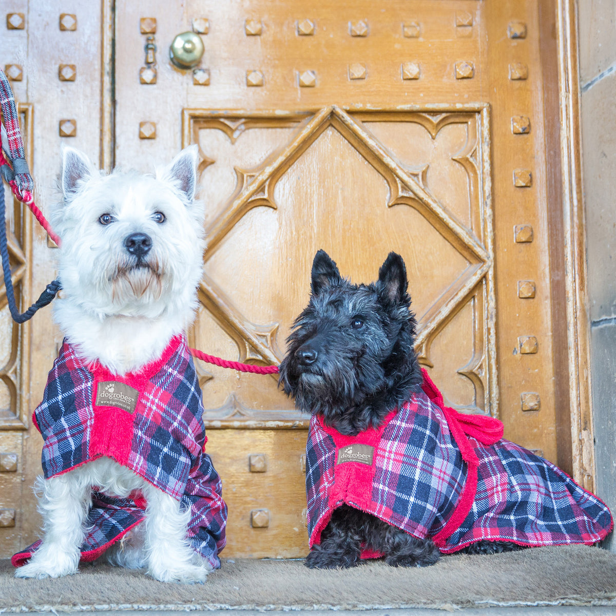 Dogrobe Exclusive - Tartan