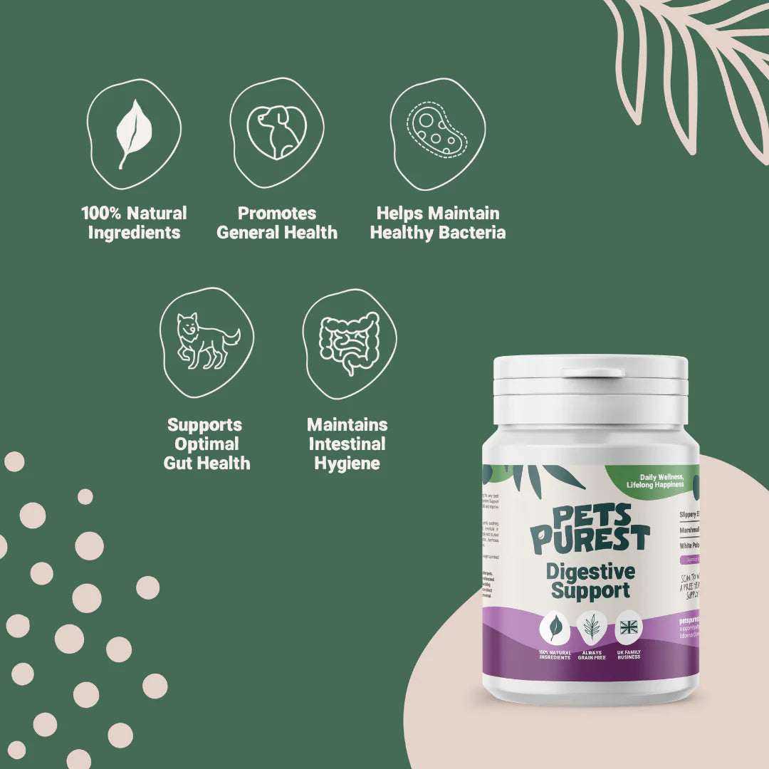 Digestive Support Powder for Dogs &amp; Cats | 100g Natural Gut Health Supplement