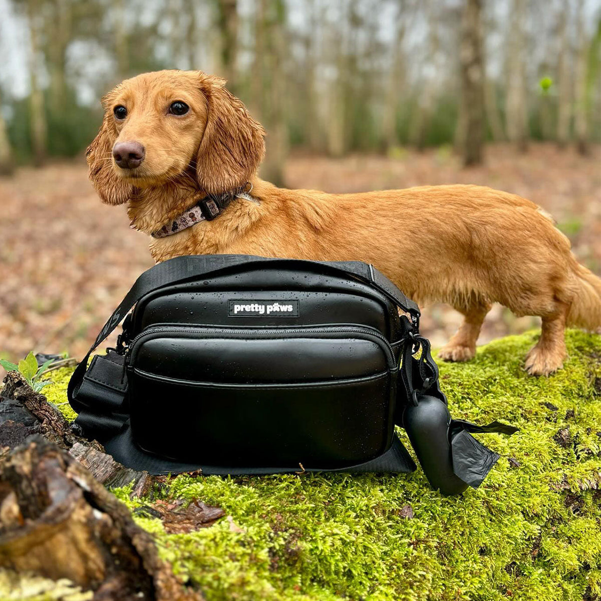 Pretty Paws Black Dog Walking Bag | Organised, Stylish &amp; Practical for Daily Walks