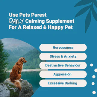 Calming Salmon Oil for Dogs &amp; Cats | 300ml Natural Anxiety &amp; Stress Relief