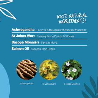 Calming Salmon Oil for Dogs &amp; Cats | 300ml Natural Anxiety &amp; Stress Relief