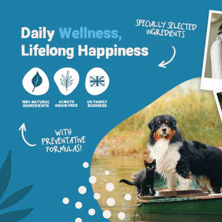 Calming Salmon Oil for Dogs &amp; Cats | 300ml Natural Anxiety &amp; Stress Relief